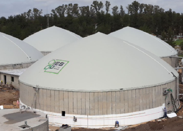 All-in-One Capture®